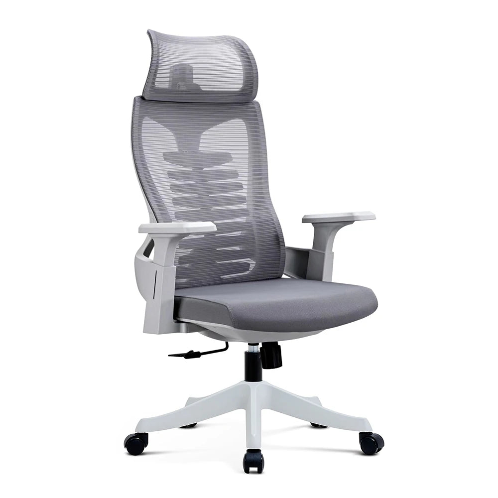 China Mesh Office Chair with Grey PP Back Frame and 3 Positions Adjustable Lumbar Support