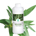 Bulk Pure Natural Ingredient Eucalyptus Essential Oil