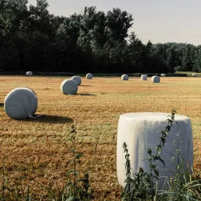 Rigid Poly Reflective Silage Covers Film for Bunker Grow Room Lining Black/White/Green Colors Moisture UV Proof Customizable