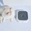 Hot Sale Eco-Friendly Plastic PP Pet Water Bowls for Dogs and Cats-Outdoor & Indoor Use