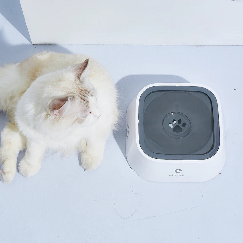 Hot Sale Eco-Friendly Plastic PP Pet Water Bowls for Dogs and Cats-Outdoor & Indoor Use
