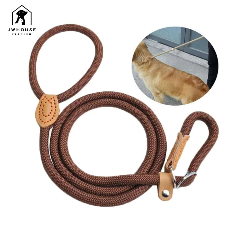 Personalized Dog Leash Alloy Plastic Leather Nylon Adjustable Durable Lightweight Solid Pattern Ribbons for Walking Training