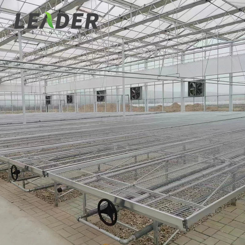 Agriculture Hydroponic Growing Table Greenhouse Vegetable Growing Ebb and Flow ABS Trays Bench