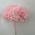 More Than 20 cm Big Head Natural Dried Hydrangea Flowers Beautiful Real Preserved Plants with Pole From Yunnan