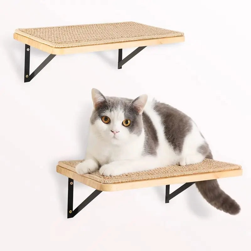 Black Wall Mount Cat Shelf Bed Household Wooden Pet Cat Climbing Frame CNLF