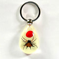 IVR Factory Cool Insect Keychain  Real Spider Luminous Keychain for Boys