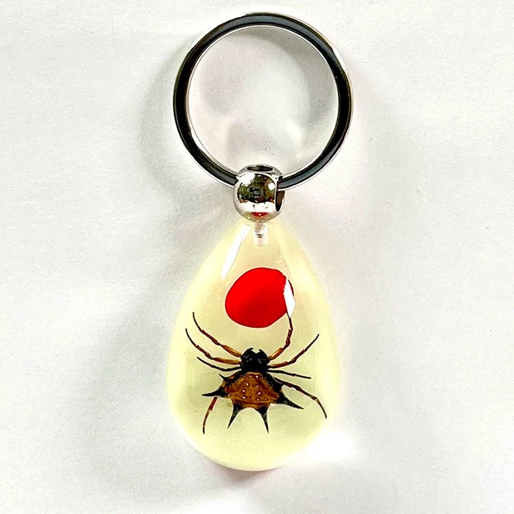 IVR Factory Cool Insect Keychain  Real Spider Luminous Keychain for Boys