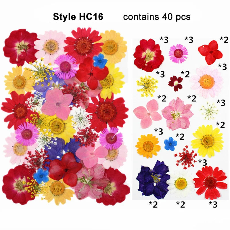 Best Selling Decorative Dried Pressed Flowers Plaints for Resin Crafts