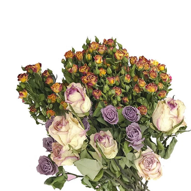 Wholesale Dried Rose Bouquet Home Decoration Items Wedding Favors Flower Arrangement Gift for Women Rose House Decorflower Arch