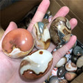 Wholesale Natural Polished Gemstone Polychrome jasper Palm Crystals Healing Stones for Home Decor