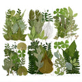 M392 Mixed Assorted Real Dried Natural Dry Ferns and Flowers 12pcs Pressed Resin Art Craft DIY Making for Mother's Day