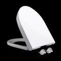 European Style UK Market D Shape Toilet Seat Cover PP Material Quick Release Wc Lid Cover