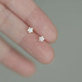 14K Gold Plated Pure 925 Sterling Silver Cute Simple Mini Small Zircon Star Flower Shaped Stud Earrings for Women Girls