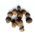 Black Natural Wild Thunder Balls Lei Wan Omphalia Lapidescens Stone-like Omphalia for Sale
