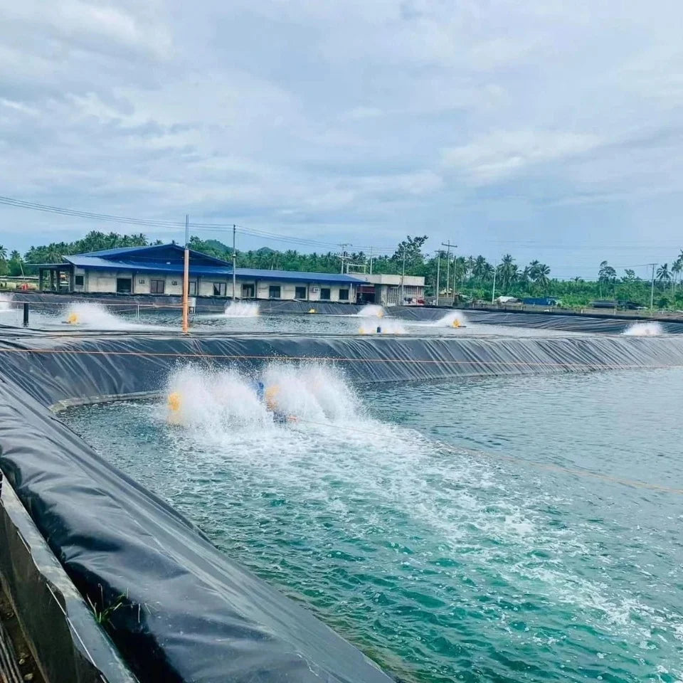 Geomembrane Liners HDPE LDPE Pond Linern Landfill Biodigester Liners Geomembrane Waterproofing Membrane Hdpe Sheet for Pond