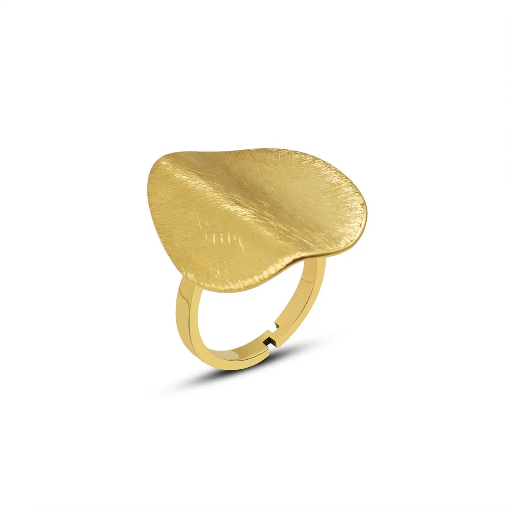 Exaggerated Special-Shaped Brushed Mist Face Ring Female Index Finger Rings Titanium Steel Jewelry