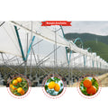 Cherry Plants Single Layer Large PE Rain Shelter Multispan Poly Greenhouse with Hot Galvanized Steel Frame