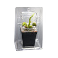 Succulent Plant Professional Packaging Transport Box Transparent Plastic Containers Storage Pvc Packaging Box MegaBDM