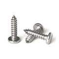DIN7971 Stainless Steel 304 316 Slotted Pan Head Self Tapping Screw