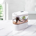 Mini Aquarium Nano Small Fish Tank Desktop For Betta Reef Setup Ideas Planter Diy Care Accessories Filter Heater Decorations