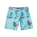 Wholesale Custom Board Shorts Mens Swim Trunks Summer Swim Beach Quick Dry Shorts Mens Swimwear Beachwear