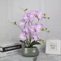 Artificial Orchid Flowers With Pot Real Touch Orchid Stems Big Blooms Orchids With Vase MegaBDM