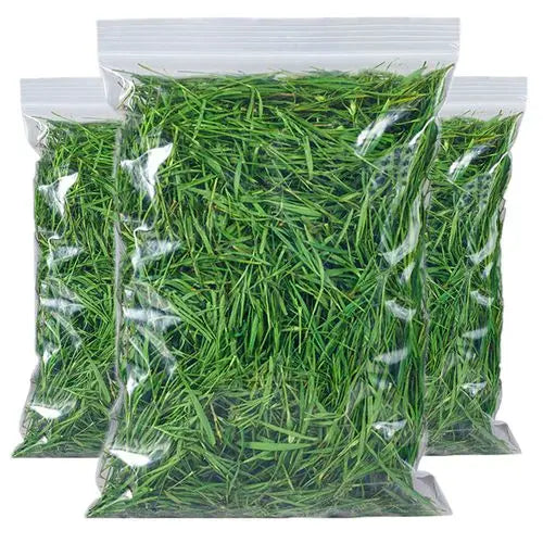SN ISO Certificate Chinese Herbal Tea 100% Natural Dried Herb  Tea Bamboo Leaves Tea