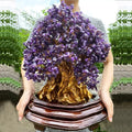 Hot Sale Natural Aventurine Crystal Money Lucky Fortune Gemstone Tree for Feng Shui Decoration