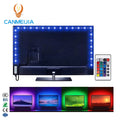 2M 3M 5M Rgb Led Strip 5V Flex Led Strips/digital Led Strip/TV Led Stripsled Tv Back Light Backlight Stripled Strip Light 5m MegaBDM