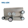 HAL-LOK HL221 Stainless Steel Gas Pressure Control Panel Regulator Semi-Automatic Changeover Switch System Pneumatic Power