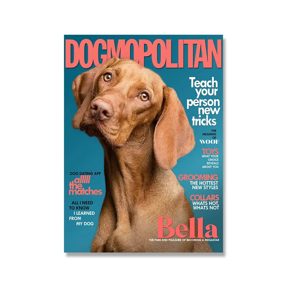 Wholesale Custom Hardcover Softcover Paper Books Printing Magazine Booklet Brochures Catalogue Photo Book Printing Services