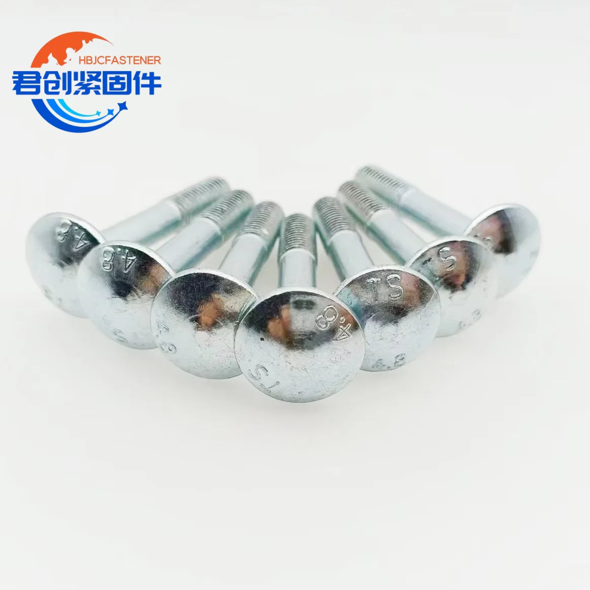 Galvanized Bolt DIN603 Carriage Bolt Galvanized Bolt SS Bolt Hexagon Bolt High Strength Bolt ZInc Plated Stainless Steel Bolt