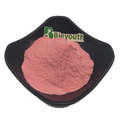 Hot Sale Factory Wholesale Food Additive Strawberry Extract Powder