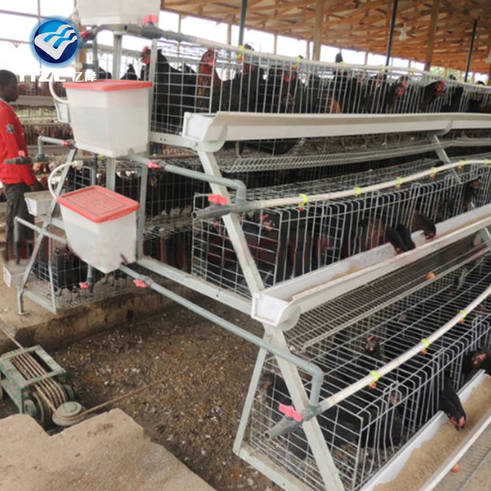 100 Capacity H Type Layer Chicken Cage Single Electric Galvanized Mesh Wire Door Poultry Run Large Hen Coop