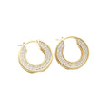 2022 New Trendy CEL Micro Pave Cubic Zircon Tinny Stones Earrings Heavy Gold Plated Brass Hoop Clutch for Women Clear