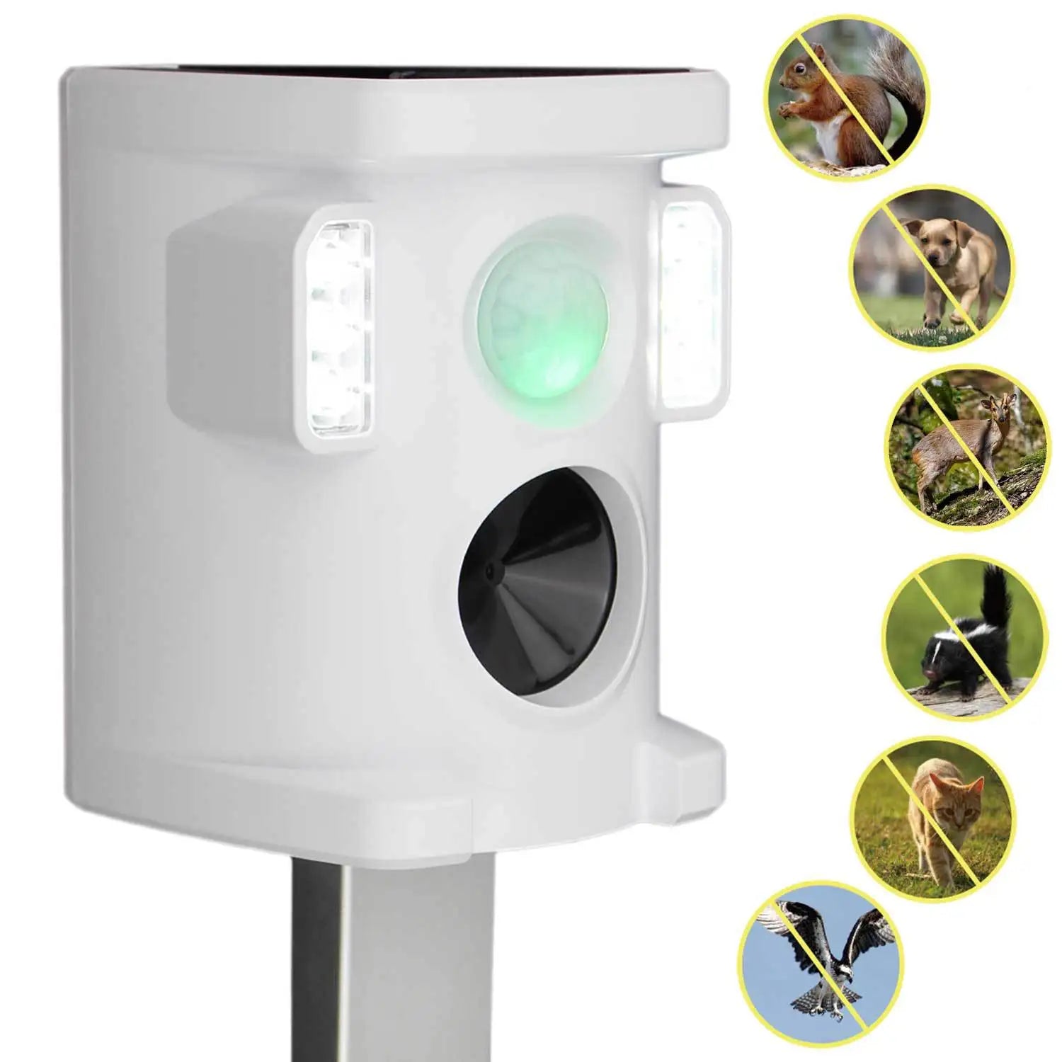 Factory LED Outdoor Ultrasonic Solar Charging Bird Animal Repeller