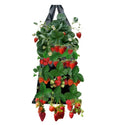 Strawberry Flower Hanging Planter Plastic Woven 3 Gallon Foldable Grow Bag for Garden Use Longpeng GP-06