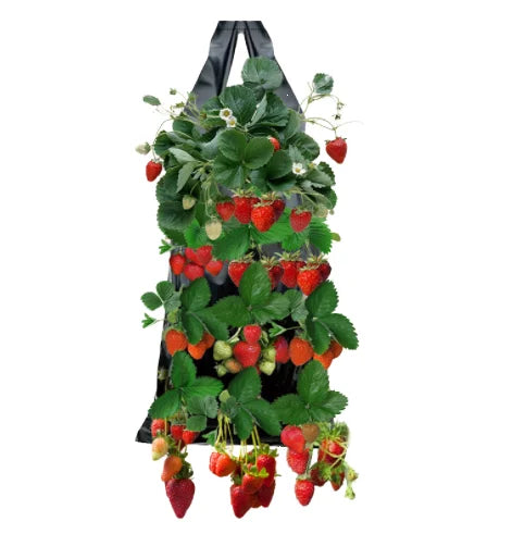 Strawberry Flower Hanging Planter Plastic Woven 3 Gallon Foldable Grow Bag for Garden Use Longpeng GP-06