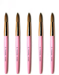 Professional Acrylic Nail Powder Brush High Quality Oem 100% Kolinsky Acrylic Nail Brush Usa Size Good for Nail Art