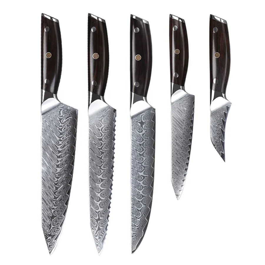 Luxury Professional Damascus Steel VG10 Core 5PCS Damast Chef Knife Set with Ebony Wood Handle Kitchen Knife Varying Sizes