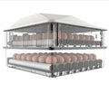 Best Selling Automatic 56 Chicken Egg Incubator Hatcher Machine New Condition for Chicken Duck Turkey Ostrich Goose Quail 220V