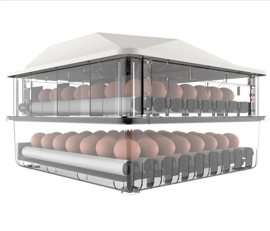 Best Selling Automatic 56 Chicken Egg Incubator Hatcher Machine New Condition for Chicken Duck Turkey Ostrich Goose Quail 220V