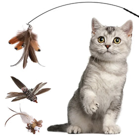 Steel Wire Feather Tease Cat Stick Long Rod Interchangeable Head Pet Toys for Cats Catnip
