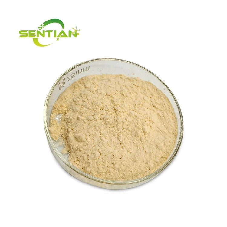 Detergent Enzyme Alkaline Protease High Activity Alkaline Protease for Stain Remover