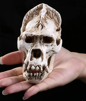 Chimpanzee Skull Ornament SKE15 New Animal Skull Model 3D Resin Craft Statues for Horror Party Decoration