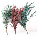 E-L261 Preserved Eucalyptus Thin Leaf Dried Plant Flower Dry Leaf Eucalyptus Leaves for Home Decor