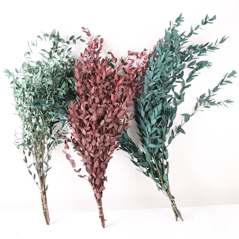E-L261 Preserved Eucalyptus Thin Leaf Dried Plant Flower Dry Leaf Eucalyptus Leaves for Home Decor