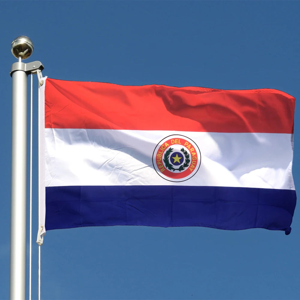 Wholesale  Fast Shipping Custom Flag 100% Polyester Flags 3x5ft Republic of Paraguay All Country Flag