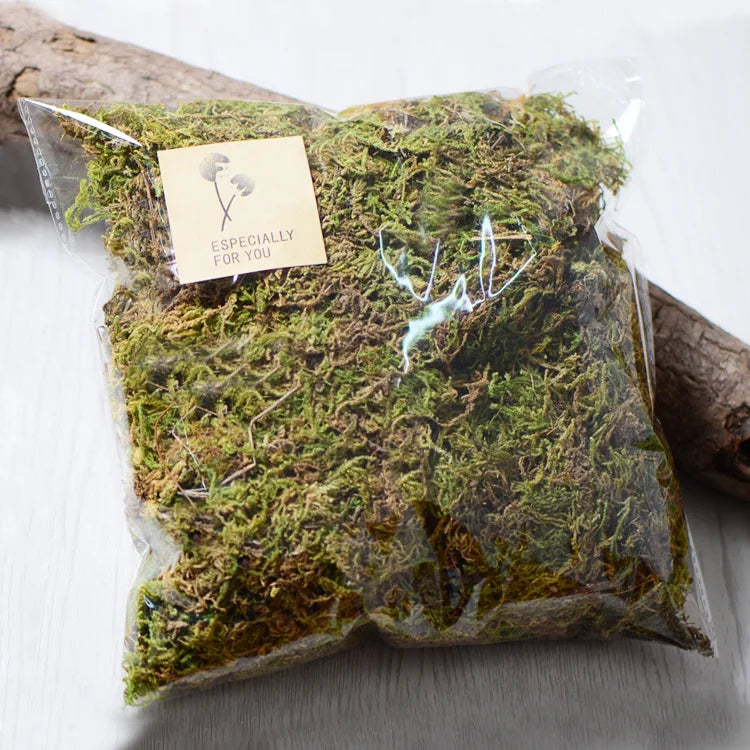 D090 Dried Moss Quality Natural Muscus Dry Musci for Dried Flower Preserved Flower Gift Box Wreath Potted Plant Wedding Decor
