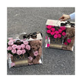 AM-PFE75 Handmade Acrylic Garden Box Teddy Bear and Preserved Rose Eternal Flower Gift Box for Mother's Day or Valentine's Day